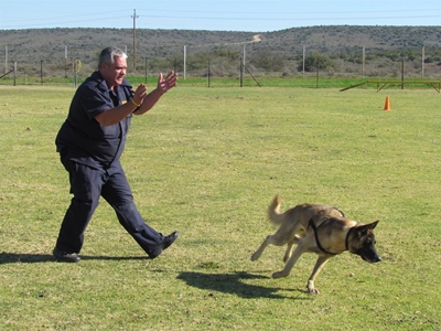 Opvolg: Polisie soek honde