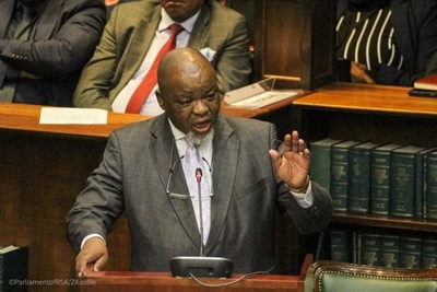 Mining minister Mantashe boasts to global investors about ‘new SA mineral’ that doesn’t exist
