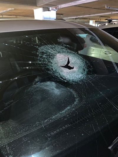 Bricks hurled from bridge injure motorists