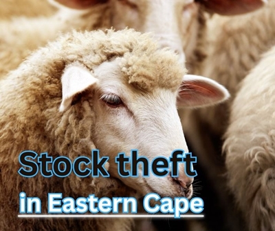 Two men arrested for stock theft in the Eastern Cape