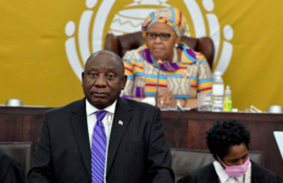 SA shows green shoots of recovery, progress
