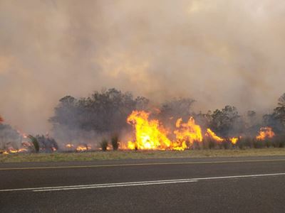 Albertinia brand vlam weer op