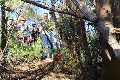 17 snares removed  in part of Dana Bay