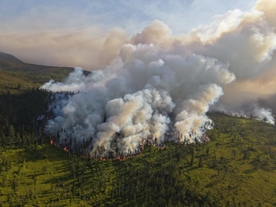 Heidelberg wildfire still active - crews work throughout the night