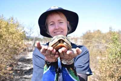 Dana Bay wildfires: Another search round planned