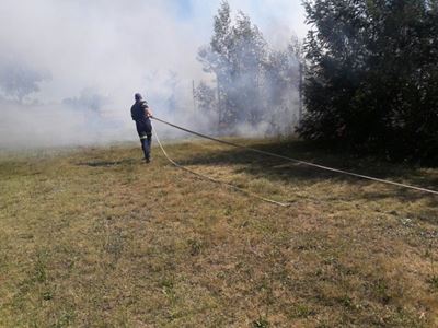 Fire in veld at York Street