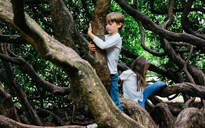 Increased need for physical education in schools