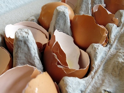 Surprising uses for eggshells