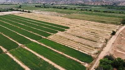 Somerreën nou uiters kritiek vir landbou