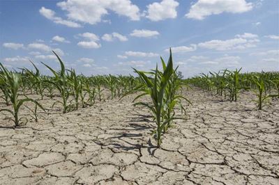 R82.5 million approved for drought relief