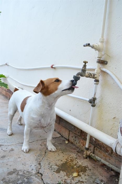 Wink Dag Zero vir Hessequa-water?