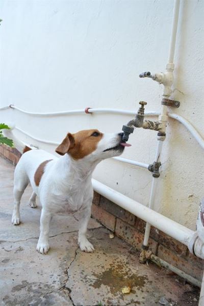 Wink Dag Zero vir Hessequa-water?