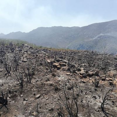 Garden Route Wildfire Update: Kammanassie Mountains