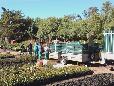 Teiken vir spekboom doolhof bereik