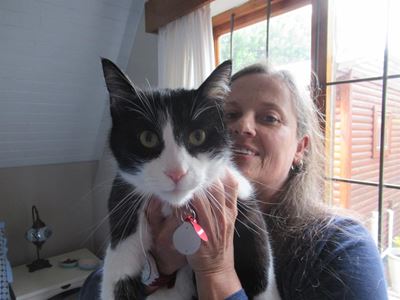 Meet Charlie the cat, Afghan immigrant
