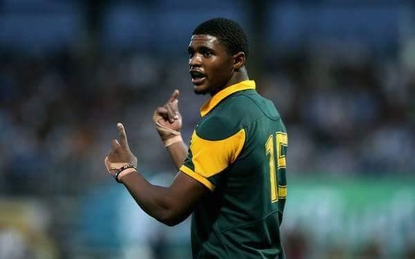 Warrick Gelant makes appearance in Boks team Herald