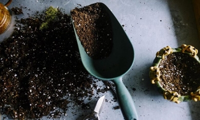 How to make the best soil for your plants