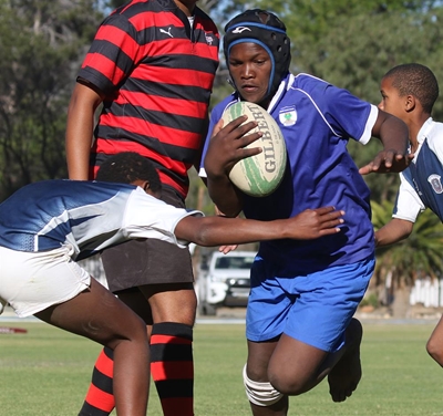 Jong bulle pronk met rugbytalent