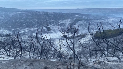 Veld and mountain areas burned in fires