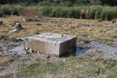 Stench plagues Cypress Grove residents