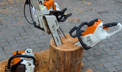 Knysna Timber Initiative saws ahead
