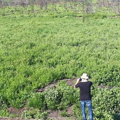 Knysna rehabilitation – an opportunity lost?