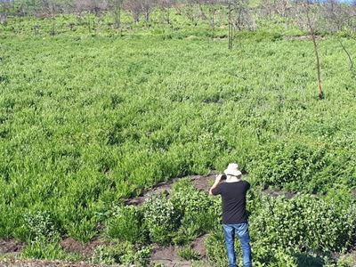 Knysna rehabilitation – an opportunity lost?