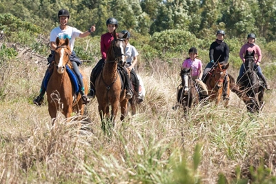 Strictly no horsing around at this equestrian event