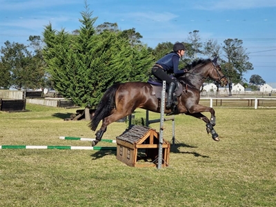 Eventing clinic by expert instructor