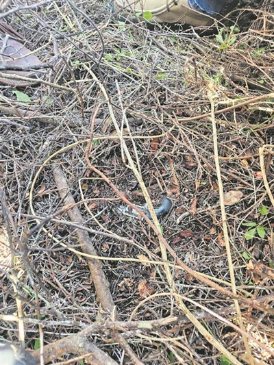 Armed robber arrest: Heroes hailed