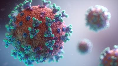 Covid-19: Zero active cases in Bitou
