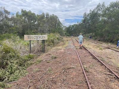 Outeniqua Choo-Tjoe revival: Steady progress on various fronts
