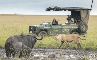 Experience all the thrills of a safari from your couch
