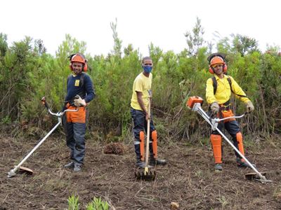 WOF Western Cape recruiting for fire season