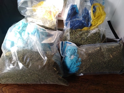 Eden cluster nabs 290 suspects during weekend 