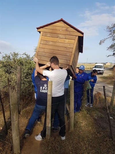 SPCA and York High collaborate
