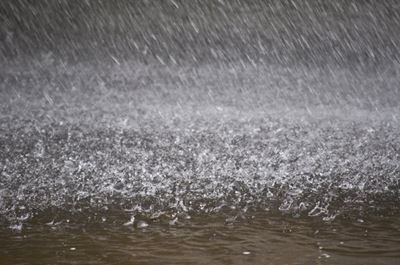 Disruptive rain predicted