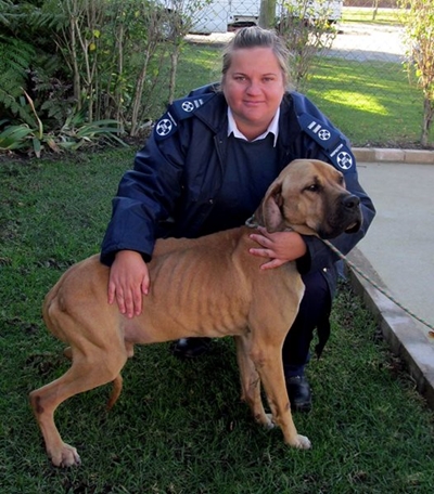 SPCA inspector warns against impersonator