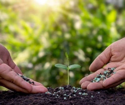 Fertiliser alternatives can improve crop yields