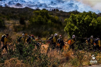 Fire Season – Southern Cape hit the most in December