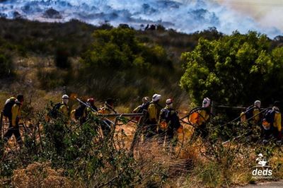Fire Season – Southern Cape hit the most in December
