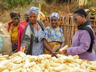 South Africa’s maize supply to last until 2020, Agbiz says