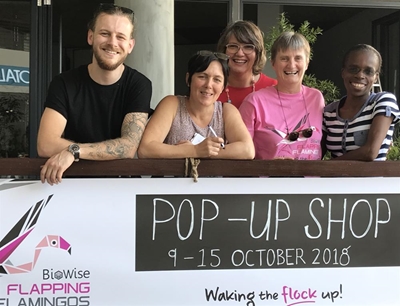 Flapping Flamingos pop up in Knysna