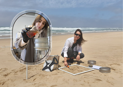 PhD-studie kyk na mikroplastiek op Mosselbaai-kuslyn