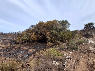 Blombos brand geblus