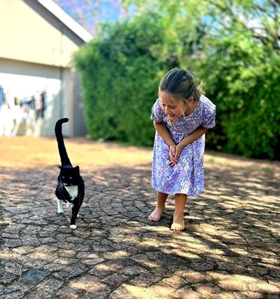 Liefkat Wally is steeds 'n katkarnallie
