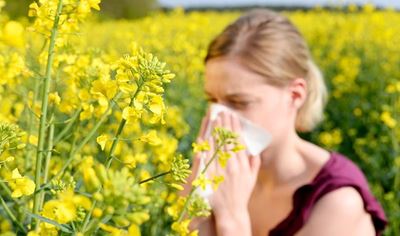 World Allergy Week 2023: The Link Between climate change and worsening Allergies 