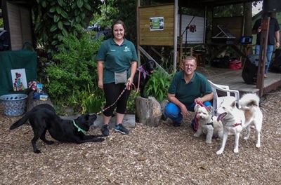 Great fun awaits at Smart Paws Academy dog show