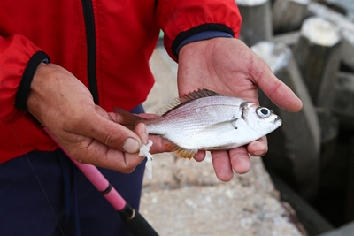 Charity fishing competition in Youth Month