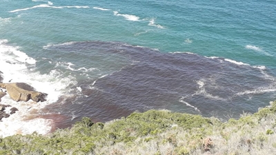 Blockage caused Meulen River sewage spill